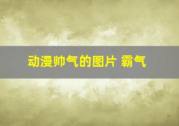 动漫帅气的图片 霸气